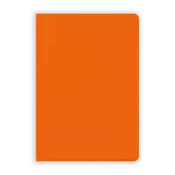 ZEP_PRO_061012-busta-porta-cards-a-2-ante_DETT9.jpg