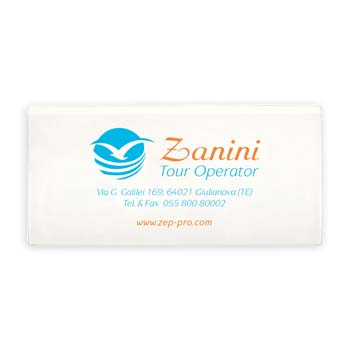 ZEP_PRO_BA101-Porta-biglietto-aereo-pvc-1-tasc.jpg