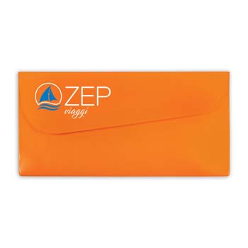 ZEP_PRO_BA316-Porta-biglietto-aereo-patella.jpg